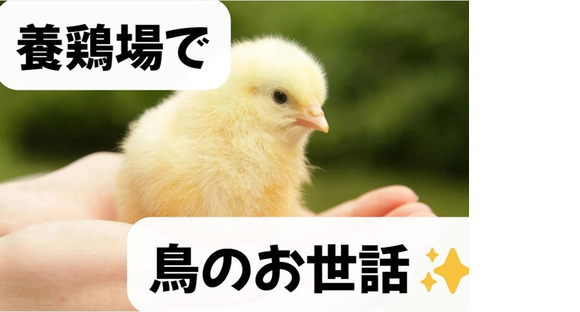 (No.1397)宇部市・飼育管理(株式会社アセットヒューマン)の求人メインイメージ