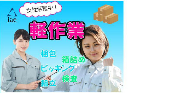 株式会社アイエーイー/5919bの求人メインイメージ