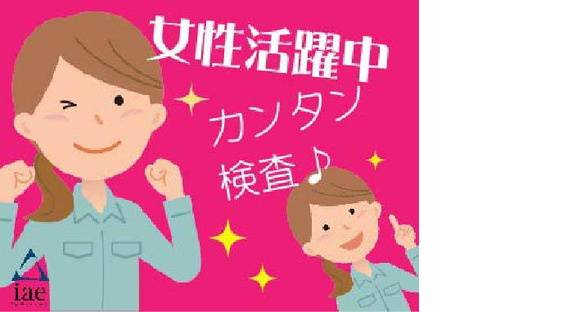 株式会社アイエーイー/5849bの求人メインイメージ