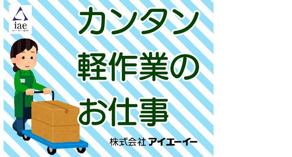 株式会社アイエーイー/4462cの求人メインイメージ