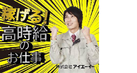 株式会社アイエーイー/2959bの求人メインイメージ