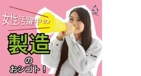 株式会社アイエーイー/993gの求人メインイメージ