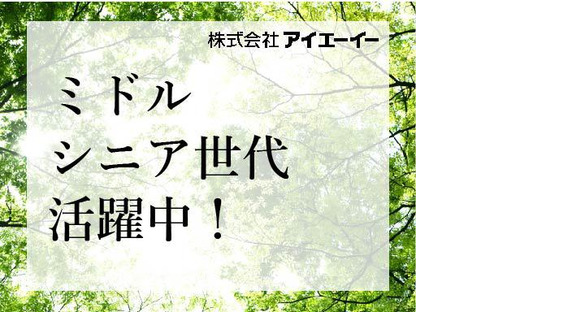 株式会社アイエーイー/5309cの求人メインイメージ