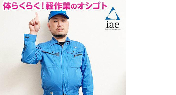 株式会社アイエーイー/6216bの求人メインイメージ