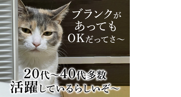 UTエージェント株式会社(関東CS_さいたま・京浜AU)《JVJO1C》VJO1の求人メインイメージ