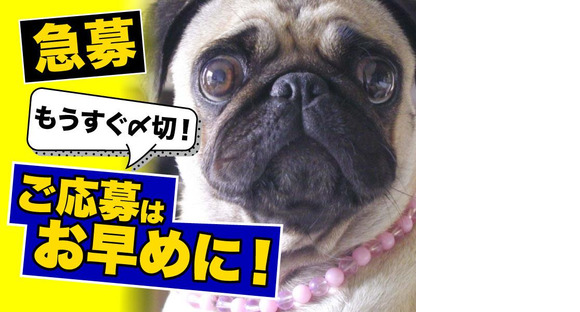 ヤマト・スタッフ・サプライ株式会社(狭山広瀬台)/15300の求人メインイメージ
