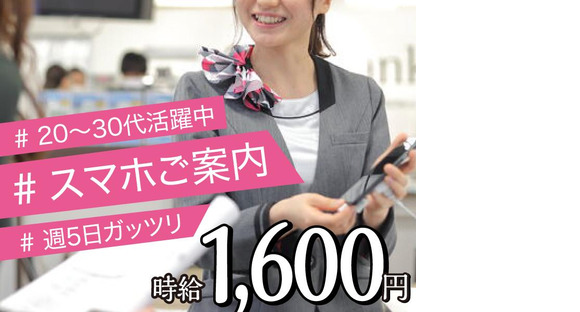 スマホ案内スタッフ_岸和田市_2(株式会社サンビレッジ関西G)20～30代活躍中/EM01aの求人メインイメージ