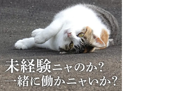 UTエージェント株式会社(京滋AU)《SUSCC》S_千代川エリア_Aの求人メインイメージ