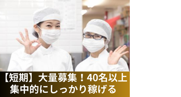 株式会社デリス【033】の求人メインイメージ