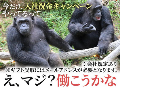 UTエージェント株式会社(関東CS_さいたま・京浜AU)《AURTA》URT鶴見エリア_Bの求人メインイメージ