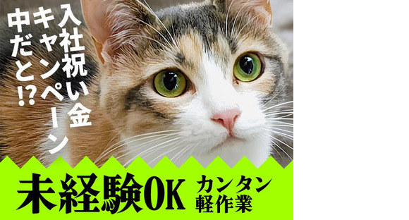 UTエージェント株式会社(関東CS_つくば・水戸AU)《AVBFA》VBF_東水戸エリア_Jの求人メインイメージ