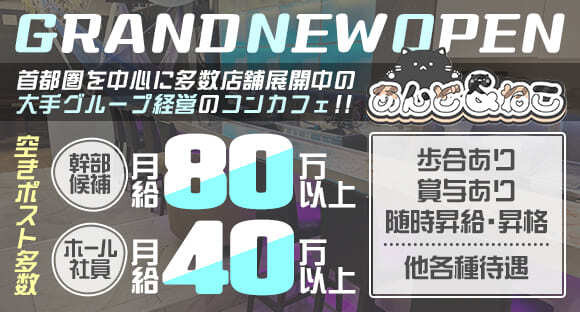 あんどねこの求人情報ページへ