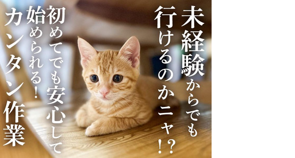 三陽工業株式会社 S2_高島エリア/派岡の求人メインイメージ
