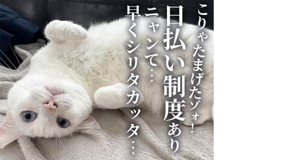 UTエージェント株式会社【試験･評価】【いわき市】の求人メインイメージ