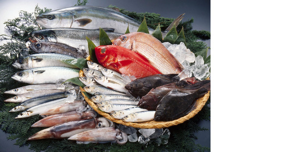 ハローズ 西脇店(アルバイト)鮮魚の求人メインイメージ