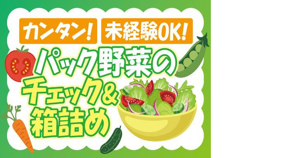 株式会社トーコー神戸支店/KBMM26517755の求人メインイメージ