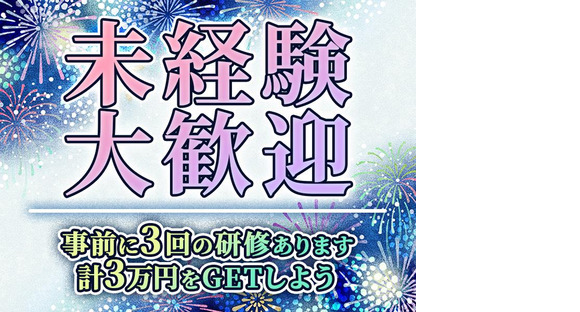 シンテイ警備株式会社 川崎支社 弁天橋(大井)31エリア(夏のイベント)/A3203200110の求人情報ページへ