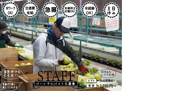 株式会社日本農業(仕分け/袋詰めスタッフ)の求人情報ページへ