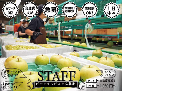 株式会社日本農業(箱/袋詰めスタッフ)の求人情報ページへ