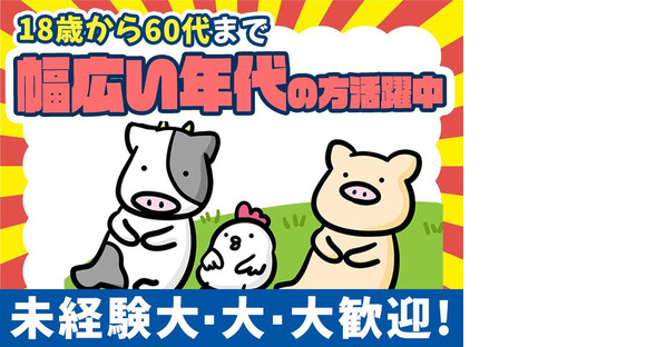 シンテイ警備株式会社 川崎支社 綱島・妙蓮寺・岸根公園(39)エリア/A3203200110の求人情報ページへ