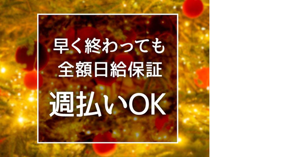 シンテイ警備株式会社 錦糸町支社 大手町(東京)・神田(東京)・内幸町(19)エリア/A3203200119の求人情報ページへ