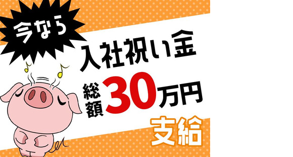 アルムメディカルサポート株式会社 K016-1の求人メインイメージ