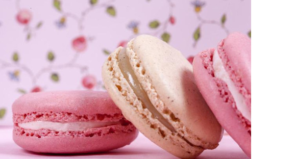 4445484の求人情報ページへ