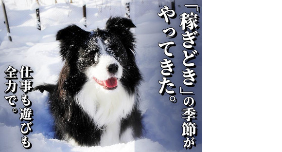 シンテイ警備株式会社 埼玉支社 大宮(埼玉)・さいたま新都心・大宮公園(9)エリア/A3203200103の求人情報ページへ