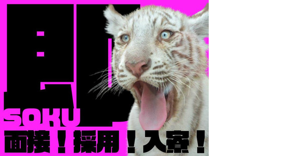 大真綜合警備保障株式会社 ※川崎市高津区エリア(08)Bの求人情報ページへ