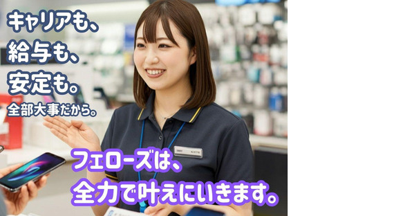 株式会社フェローズ(au経験量販)SND_AK_268_163T(A)(SND)の求人情報ページへ