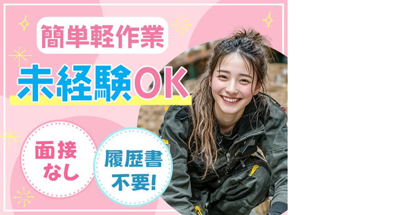 株式会社プロスタッフ　小型モーター組立・加工・検査②（2507kr001）の求人情報ページへ