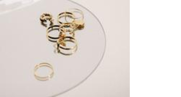 ココシュニック　ジュエリー販売スタッフ　新丸ビル(株式会社アクトブレーン)/tc39592の求人情報ページへ