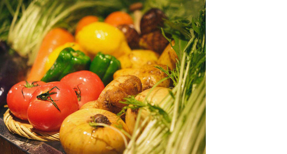 ＧＹＲＯ ＨＯＬＤＩＮＧＳ株式会社／出汁しゃぶ　おばんざい　おかか　新宿店01の求人情報ページへ