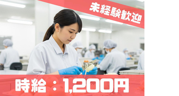 株式会社ブラステック/okh0022の求人メインイメージ