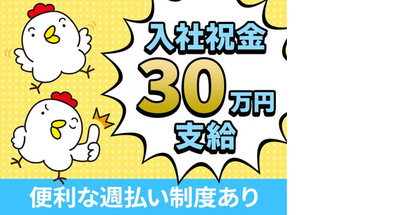 アルムメディカルサポート株式会社 KH189の求人情報ページへ