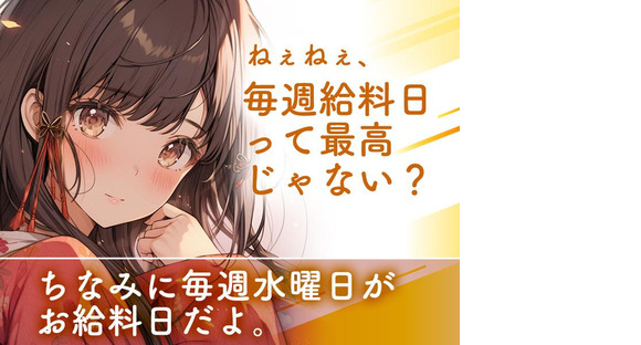シンテイ警備株式会社 新宿支社 新江古田(1)エリア/A3203200140の求人情報ページへ