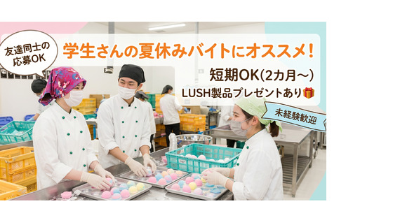 東西株式会社　HRソリューショングループ[509]SLUSH_P_bmの求人情報ページへ