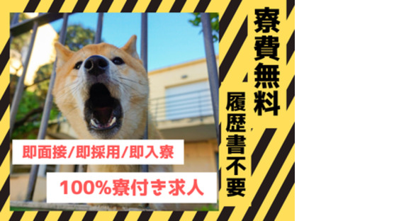 株式会社myteamsの求人情報ページへ