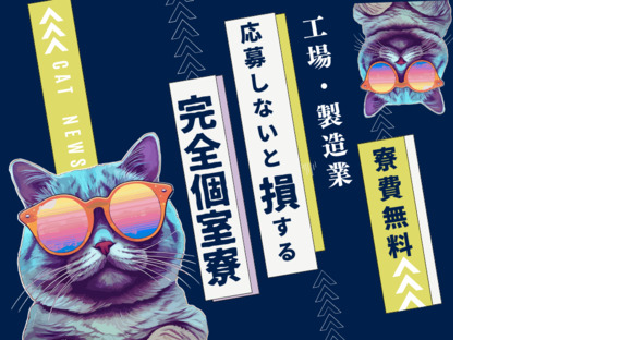 株式会社myteamsの求人情報ページへ