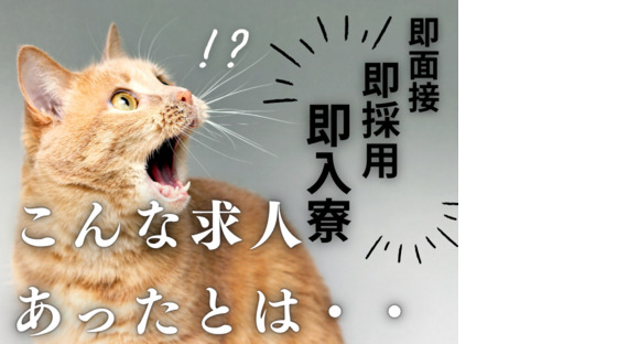 株式会社myteamsの求人情報ページへ