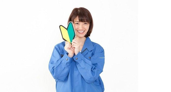 株式会社エイビス (239)