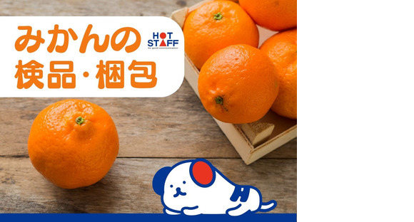 株式会社ホットスタッフ安芸の求人メインイメージ