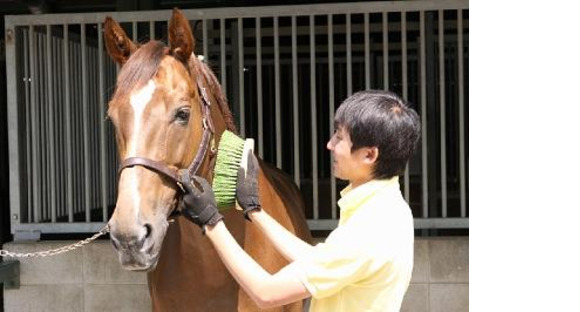 乗馬クラブクレイン大阪の求人メインイメージ