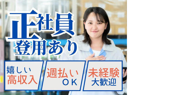 株式会社アシス(ピッキング・デリバリー業務2)の求人メインイメージ