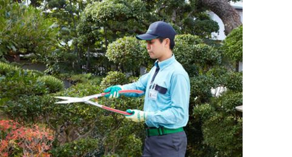 ナックダスキン事業部第３８支店トータルグリーン（庭木管理スタッフ）の求人メインイメージ