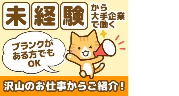 エムシーパートナーズ株式会社/1924-000の求人メインイメージ