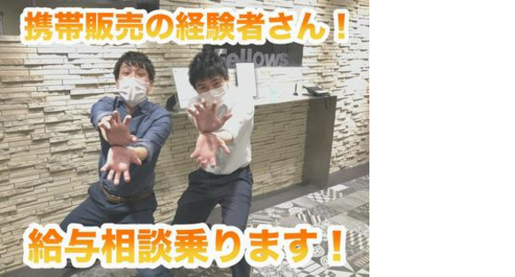 株式会社フェローズ(au経験量販)NGY_AK_986_1353T(A)(NGY)の求人メインイメージ